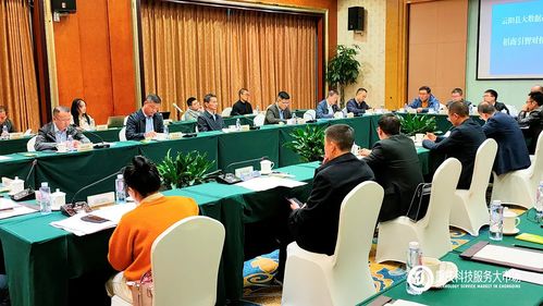 攜手云陽，數據賦能 重慶科技服務大市場助力大數據產業招商新篇章